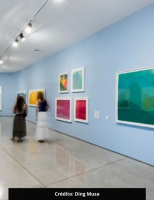 Vista da exposição Santídio Pereira: paisagens férteis, na Sala Paulo Figueiredo no MAM São Paulo.