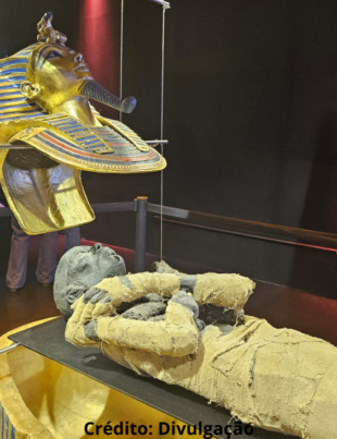 Foto da exposição Tutankamon: uma experiência imersiva.