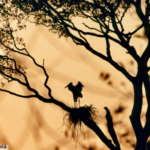 Foto de um fim de tarde no Pantanal.