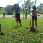 Foto do plantio de mudas de ipês-brancos realizado pelo clube interactiano.