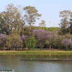 Foto do Parque Ibirapuera em SP.