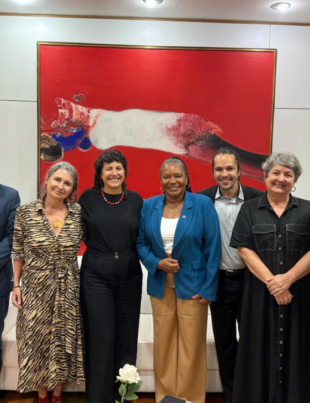 Foto de integrantes da ANDAI durante encontro no MinC.