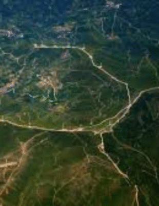 Foto aérea de uma floresta.