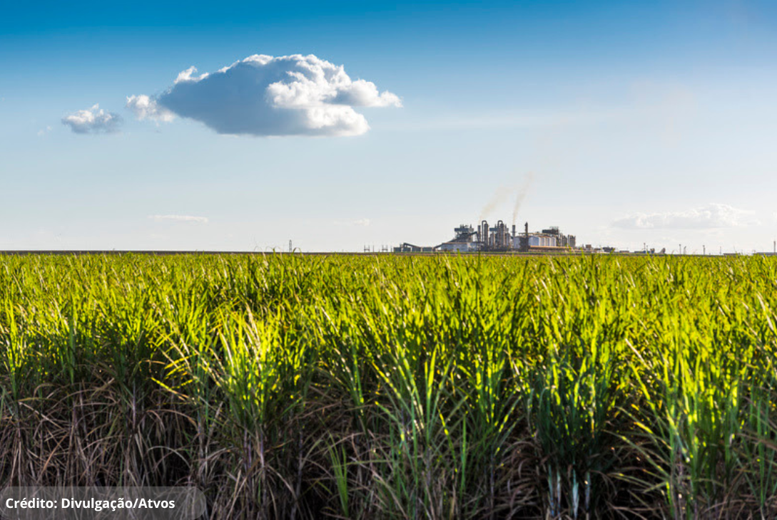 Imagem ilustrativa de um campo e ao fundo uma construção que aparenta ser uma fábrica.