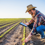 Foto ilustrativa de um homem mexendo no celular ao mesmo tempo que vistoria a sua colheita no campo.