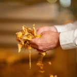 Imagem de uma pessoa separando as folhas do tabaco.