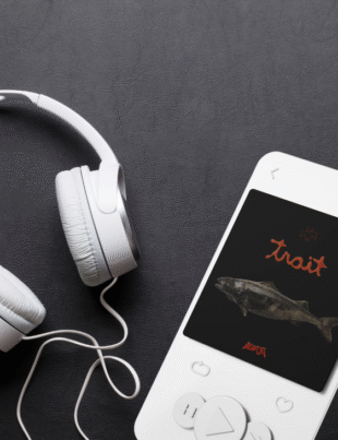 Montagem com capa do single.