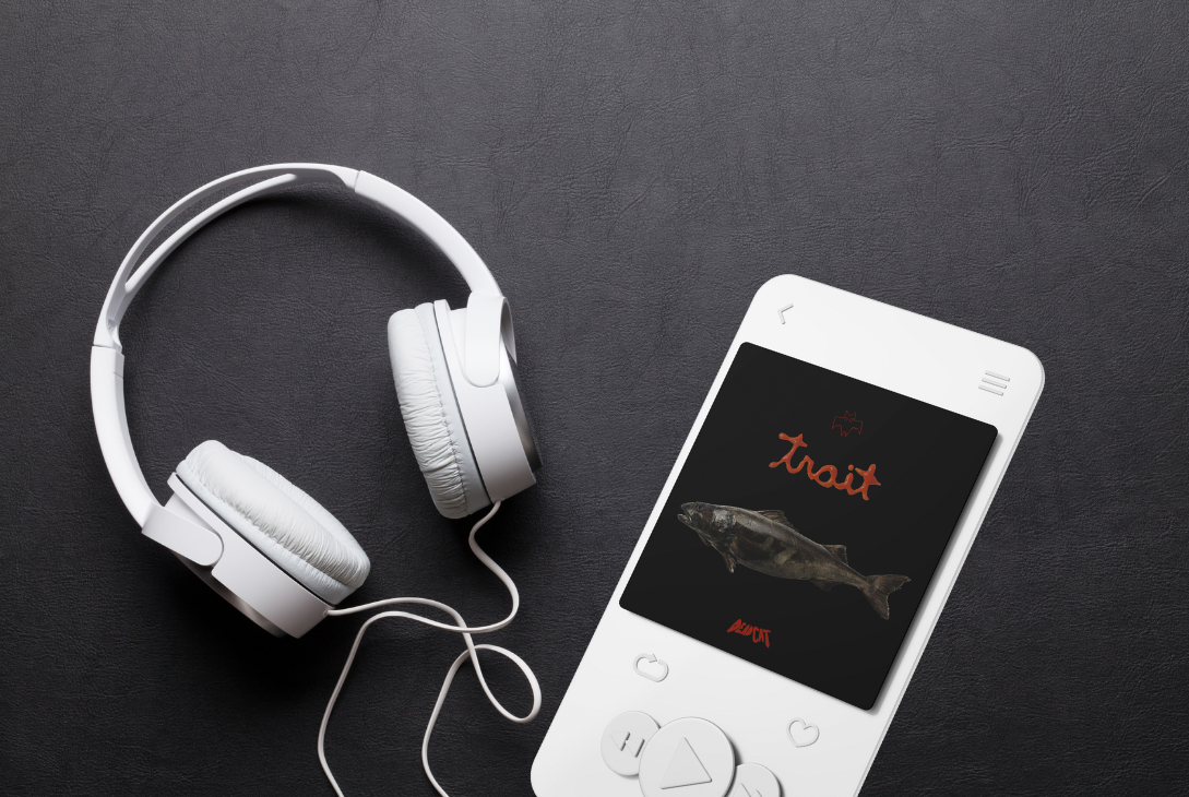 Montagem com capa do single.