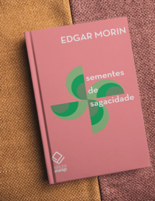 Montagem com capa do livro.