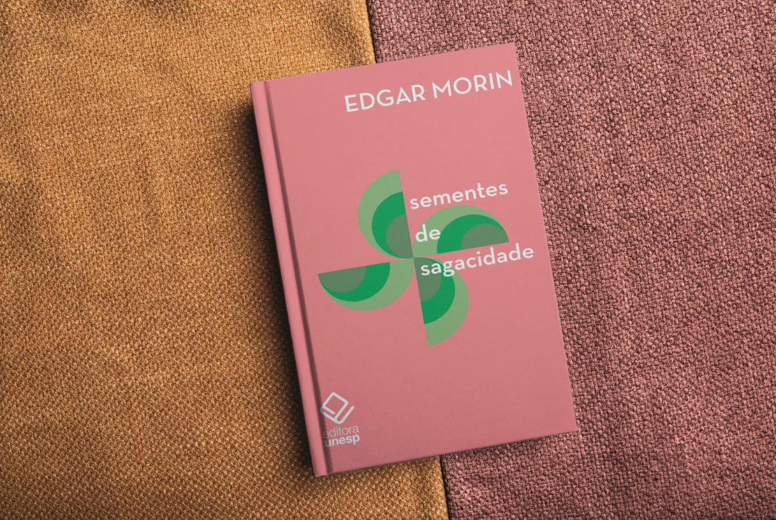 Montagem com capa do livro.