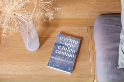 Mockup com capa do livro.