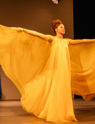 Cena de um espetáculo do SPED.