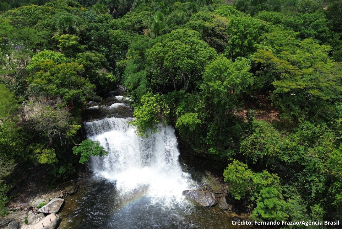 Foto de bioma brasileiro.