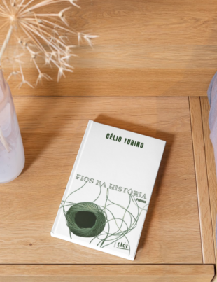 Mockup com capa do livro.