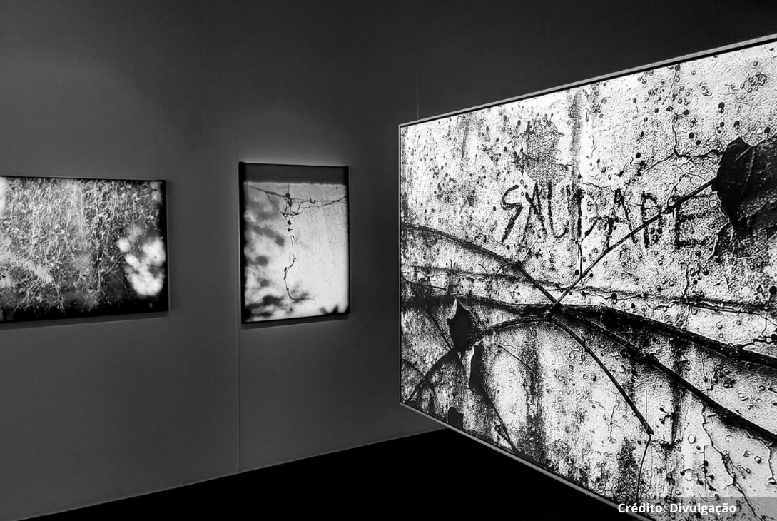 Foto de obras expostas na exposição.