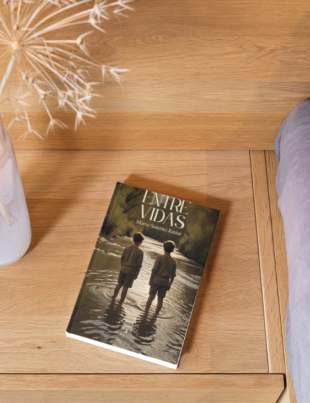 Mockup com capa do livro.