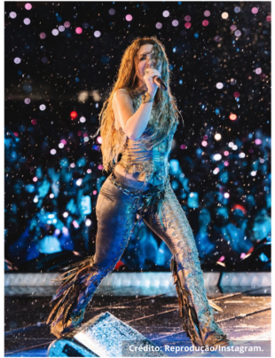 Foto da cantora em um show.