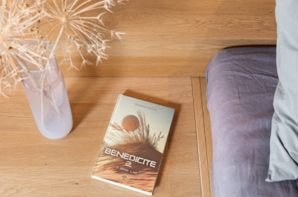 Mockup com capa do livro.