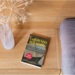 Mockup com capa do livro.