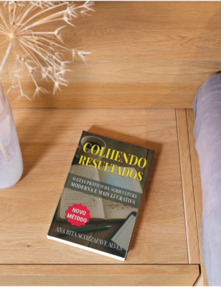 Mockup com capa do livro.