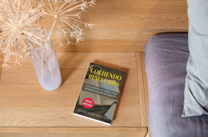 Mockup com capa do livro.