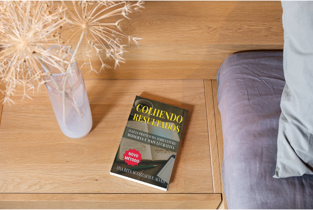 Mockup com capa do livro.