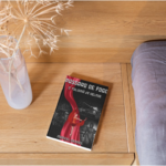 Mockup com capa do livro.